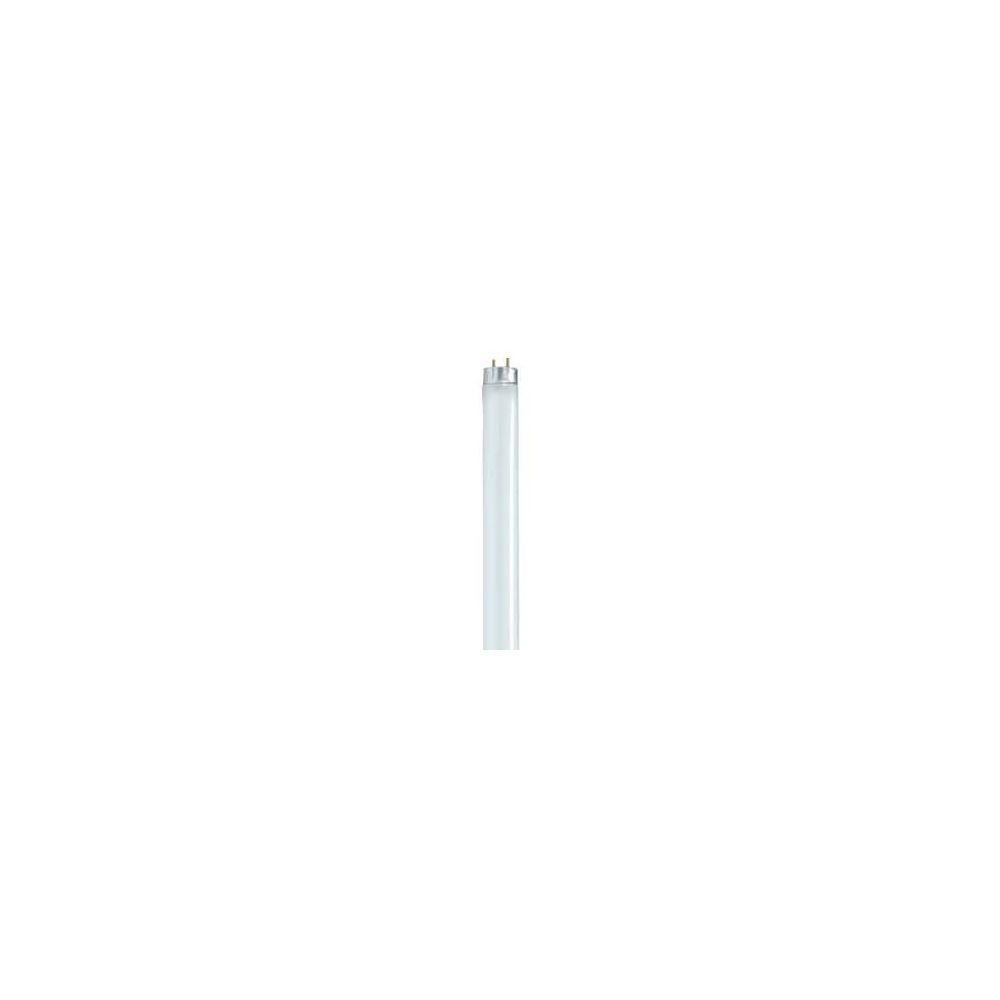 Satco 32W 48 in. T8 Fluorescent Light Bulb 3500 Kelvin with Medium Bi-Pin Base